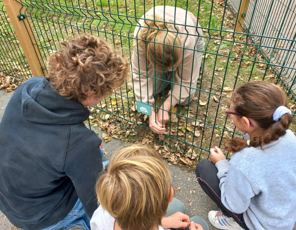 Image par défaut illustrant le propos de l'article Piqu’en Ville revient à Cœur de Nacre ! de Coeur de Nacre