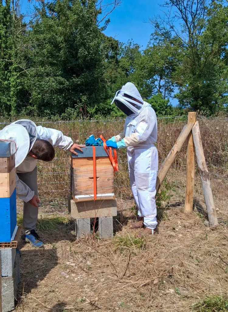Image par défaut illustrant le propos de l'article L’Aire des mobilités C2N accueille des ruches pour favoriser la biodiversité ! de Coeur de Nacre